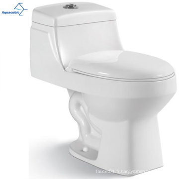 Aquacubic Sanitary Ware wc toilet de salle de bain plancher monté en céramique deux pièces en deux pièces siphon rinçage double florh